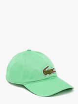 Pet Lacoste Groen accessoires RK318600-vue-porte